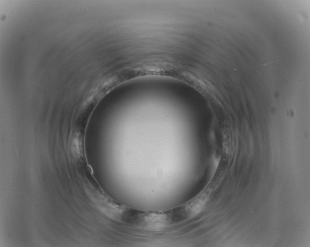 X0000074290718200609011407