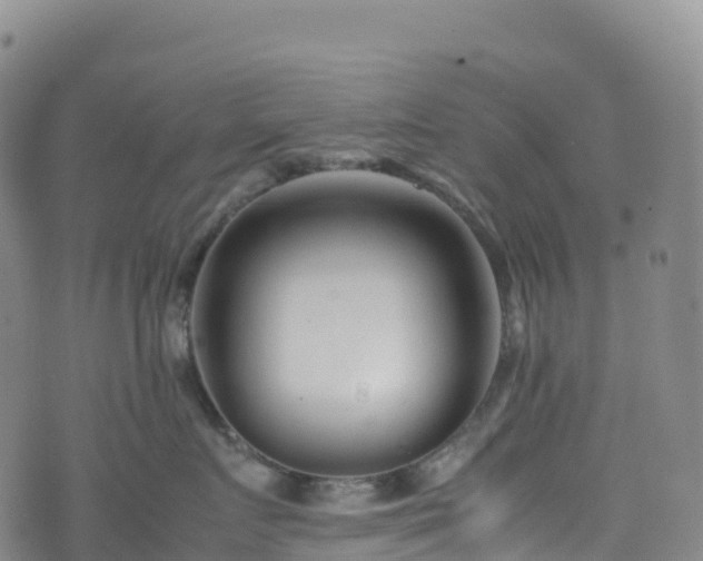 X0000074290719200609011407