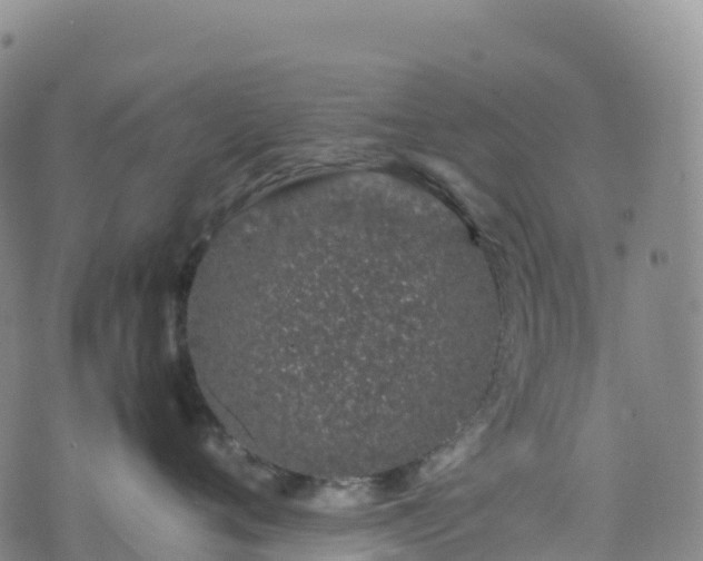 X0000074290720200609011407