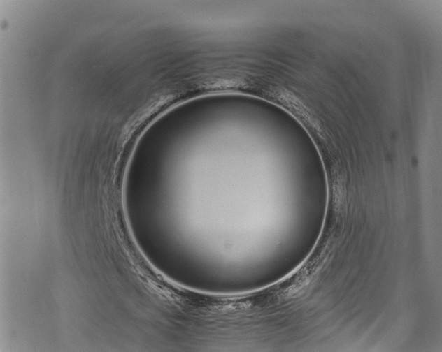 X0000074290721200609011406