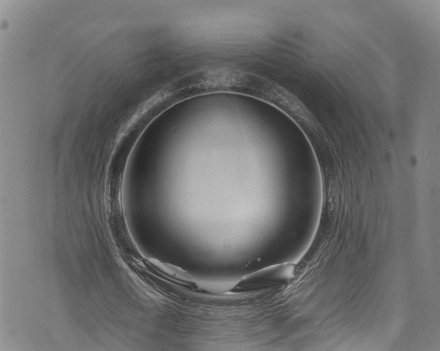 X0000074290722200609011406