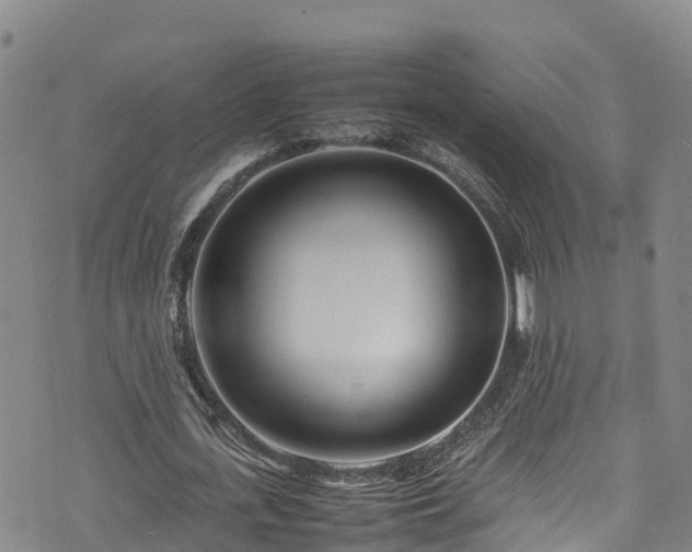 X0000074290723200609011406