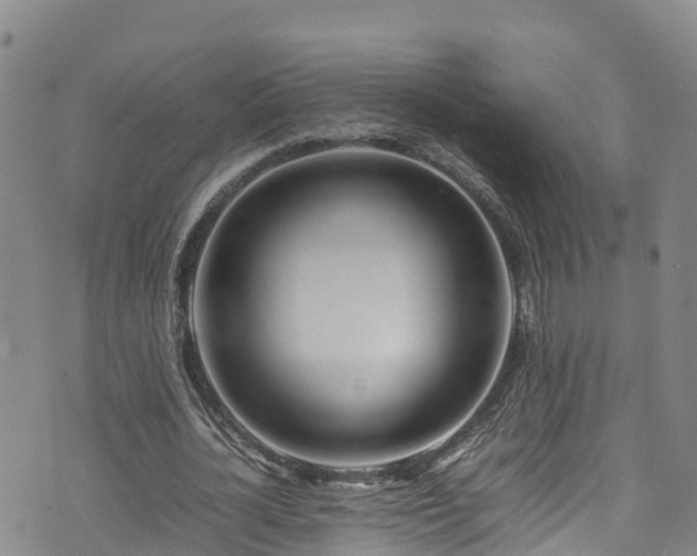 X0000074290724200609011406