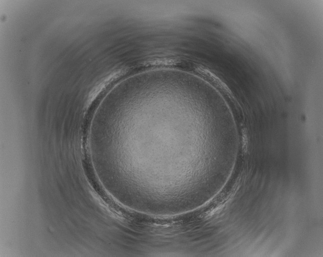 X0000074290725200609011406