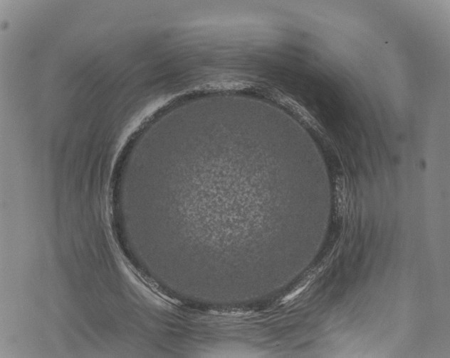 X0000074290726200609011406