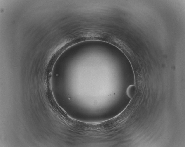 X0000074290727200609011406