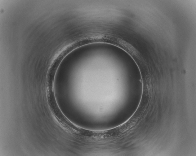 X0000074290728200609011406