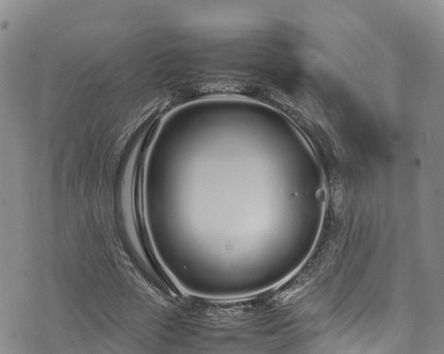 X0000074290729200609011406