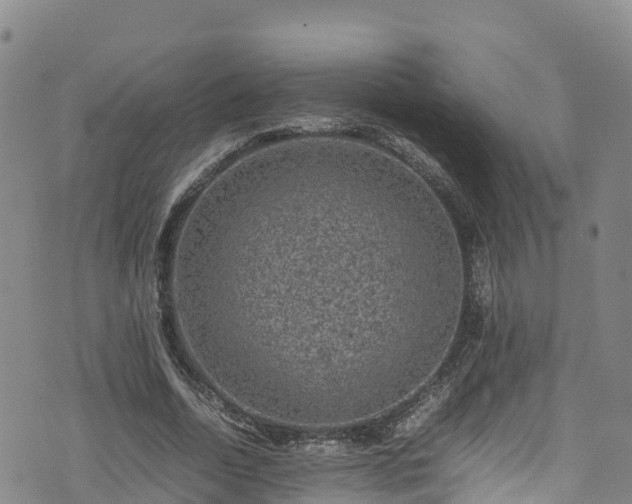 X0000074290730200609011406