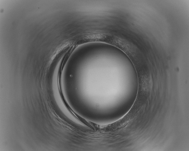 X0000074290731200609011406