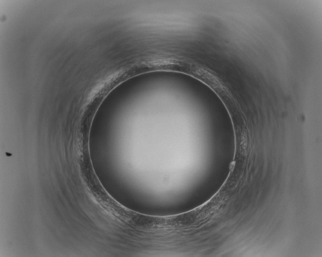 X0000074290732200609011406