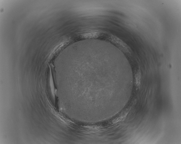 X0000074290733200609011406