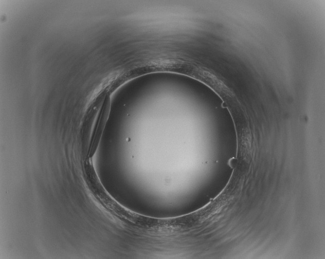 X0000074290734200609011406