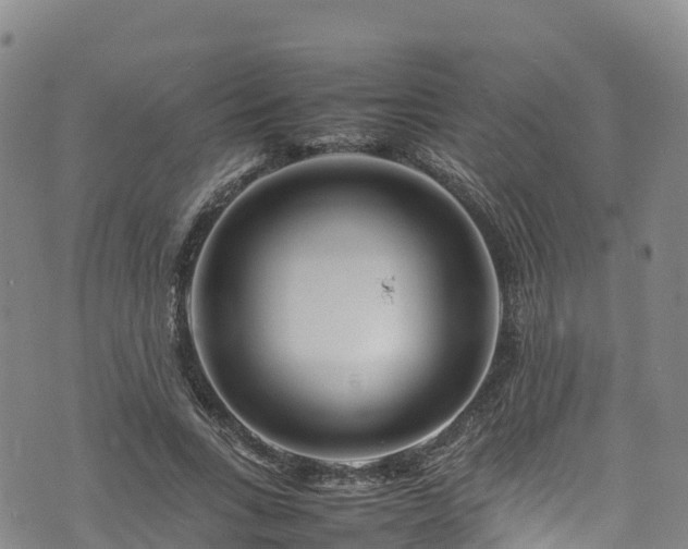 X0000074290735200609011406