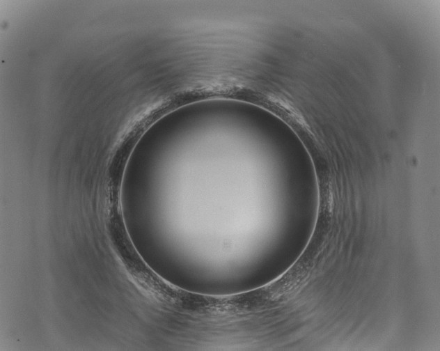 X0000074290736200609011406