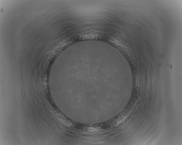 X0000074290737200609011406