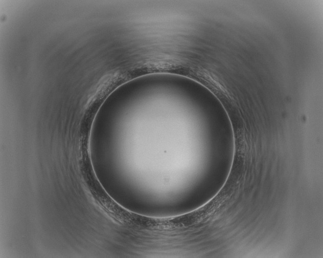 X0000074290738200609011406