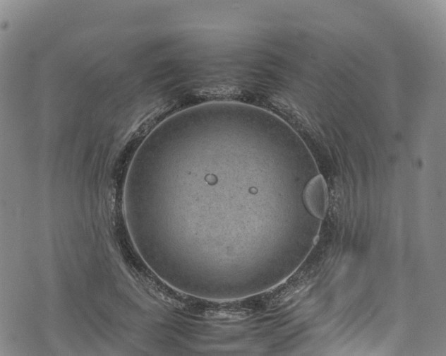 X0000074290739200609011406