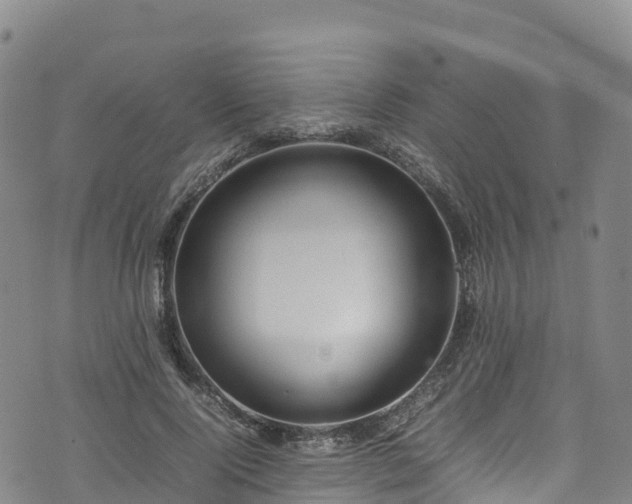 X0000074290740200609011406