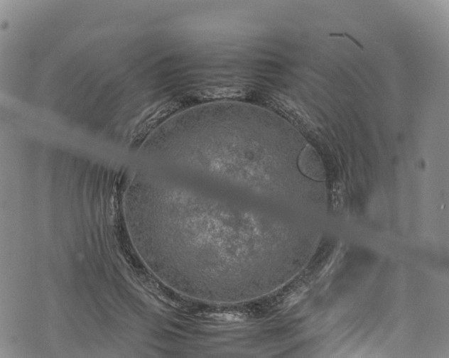 X0000074290741200609011406