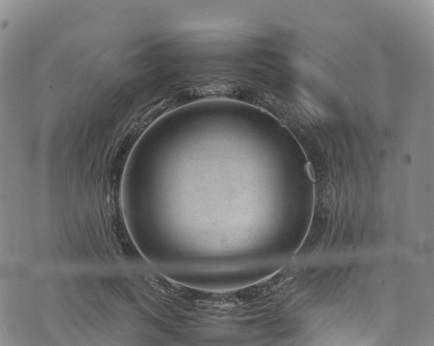 X0000074290743200609011406