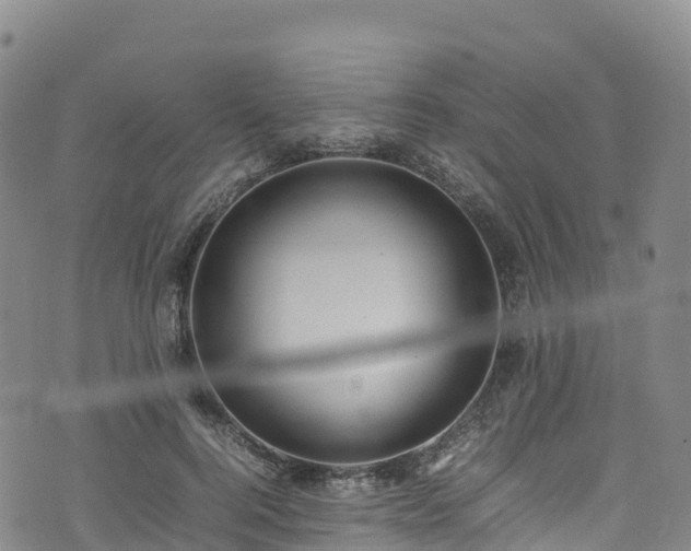 X0000074290744200609011406