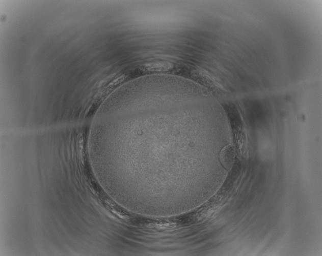 X0000074290745200609011406