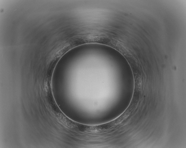 X0000074290746200609011406