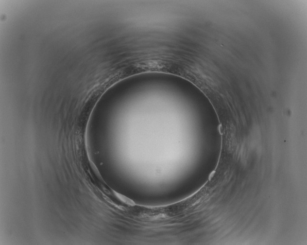 X0000074290747200609011406