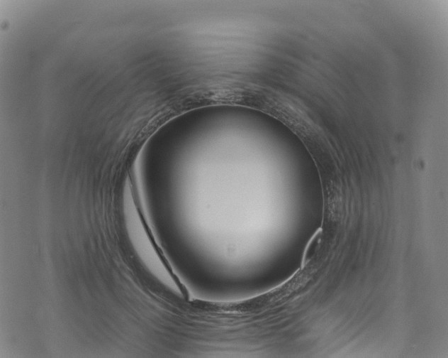 X0000074290748200609011406