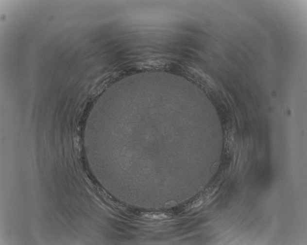 X0000074290749200609011406