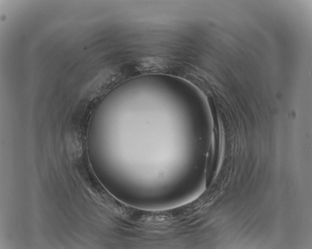 X0000074290751200609011407