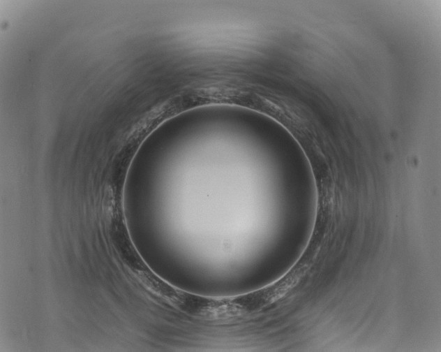 X0000074290752200609011407