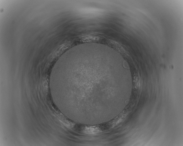 X0000074290753200609011407