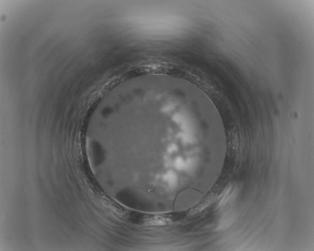 X0000074290754200609011407