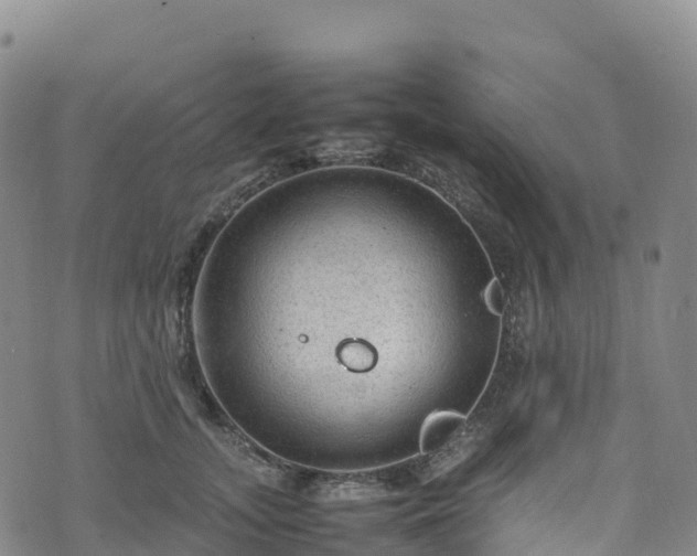 X0000074290755200609011407