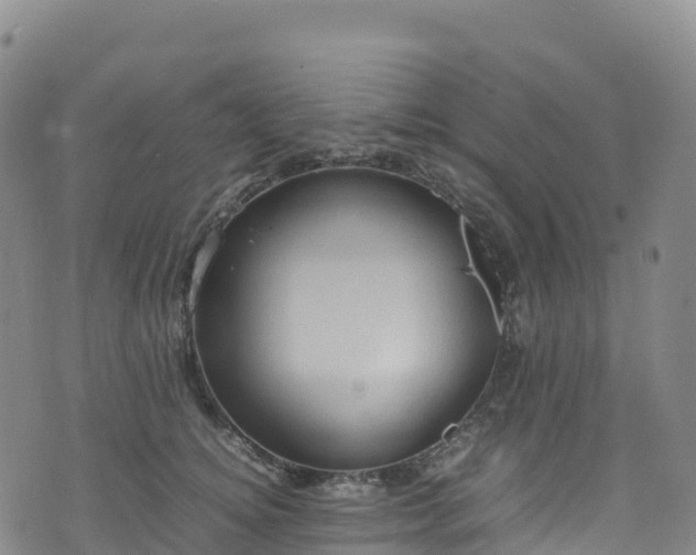 X0000074290756200609011407