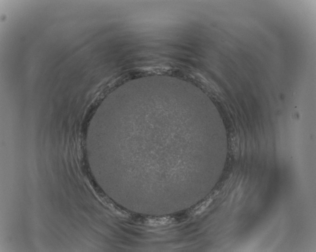 X0000074290757200609011407