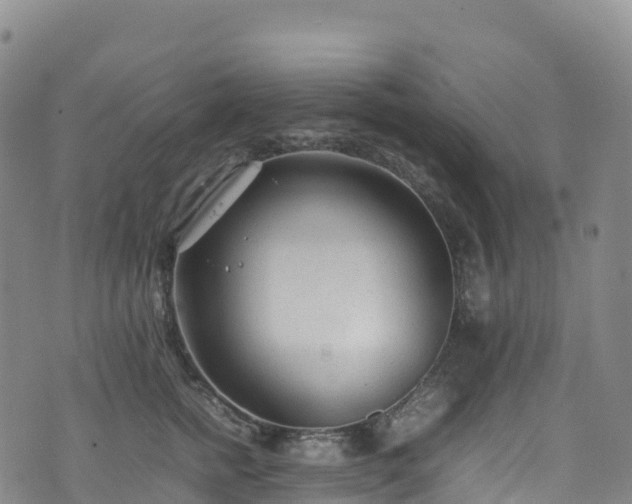 X0000074290758200609011407