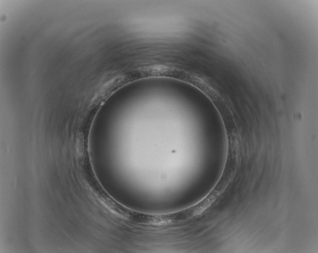 X0000074290760200609011407