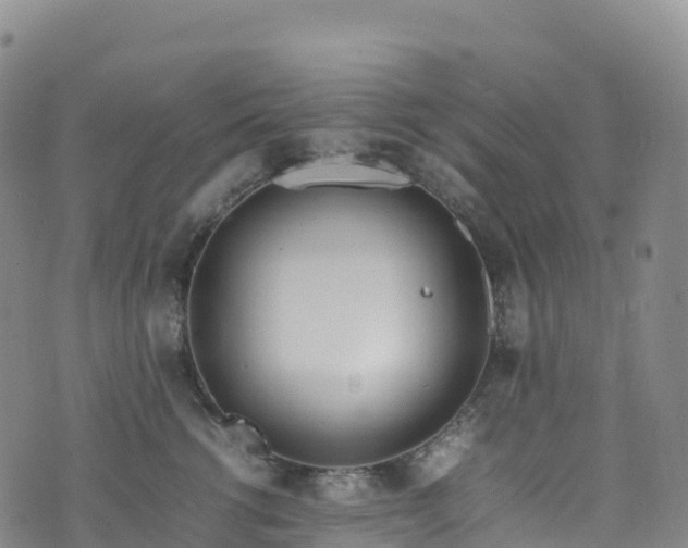 X0000074290762200609011407