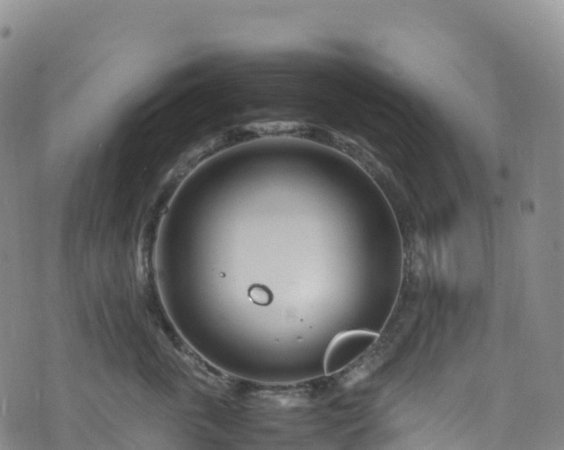 X0000074290763200609011407