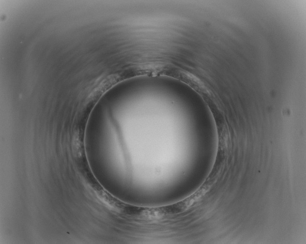 X0000074290764200609011407