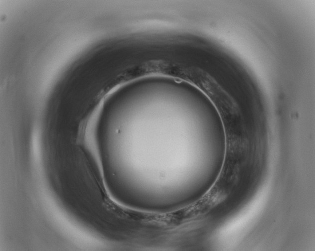 X0000074290765200609011407