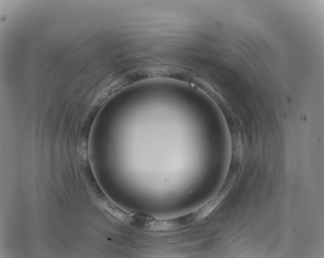 X0000074290766200609011407