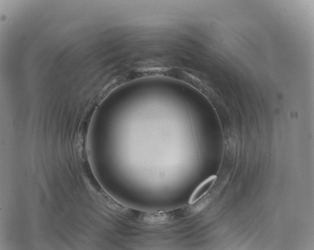 X0000074290767200609011407