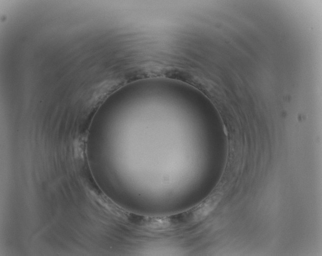 X0000074290768200609011407