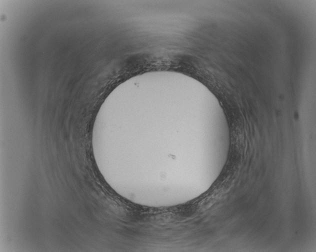 X0000074290769200609011406