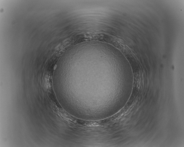 X0000074290770200609011406