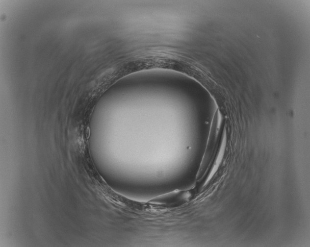 X0000074290771200609011406